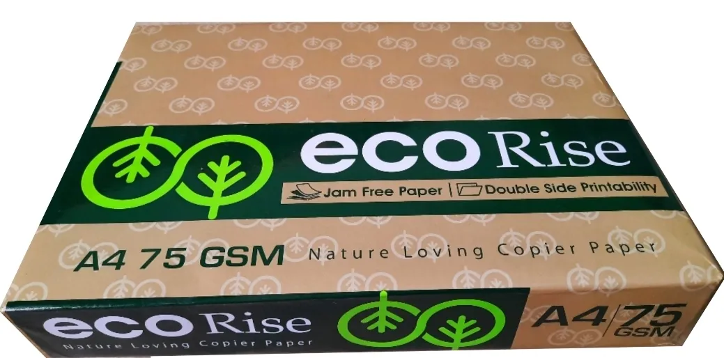 Eco Rise Printing Copy A4 Size JK Paper Eco Tree Friendly 75 GSM 500 Sheet Pack of 1