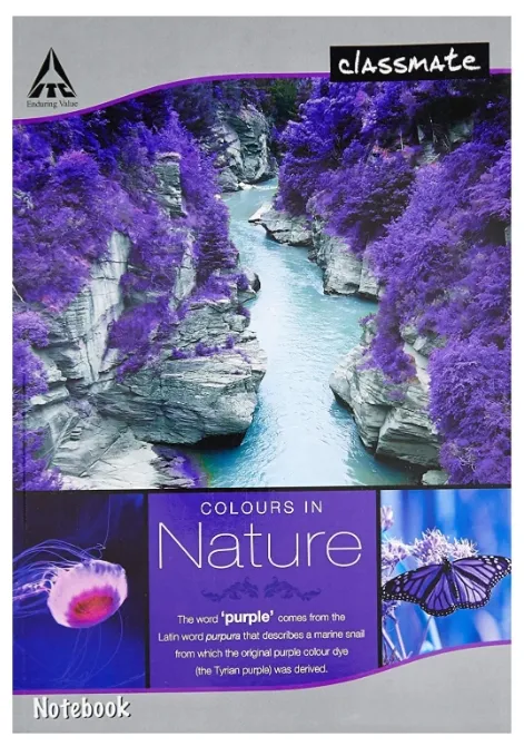Classmate Long Notebook Single Line 400 Pages 27.2X16.7 Cm Soft Cover Pack of 1