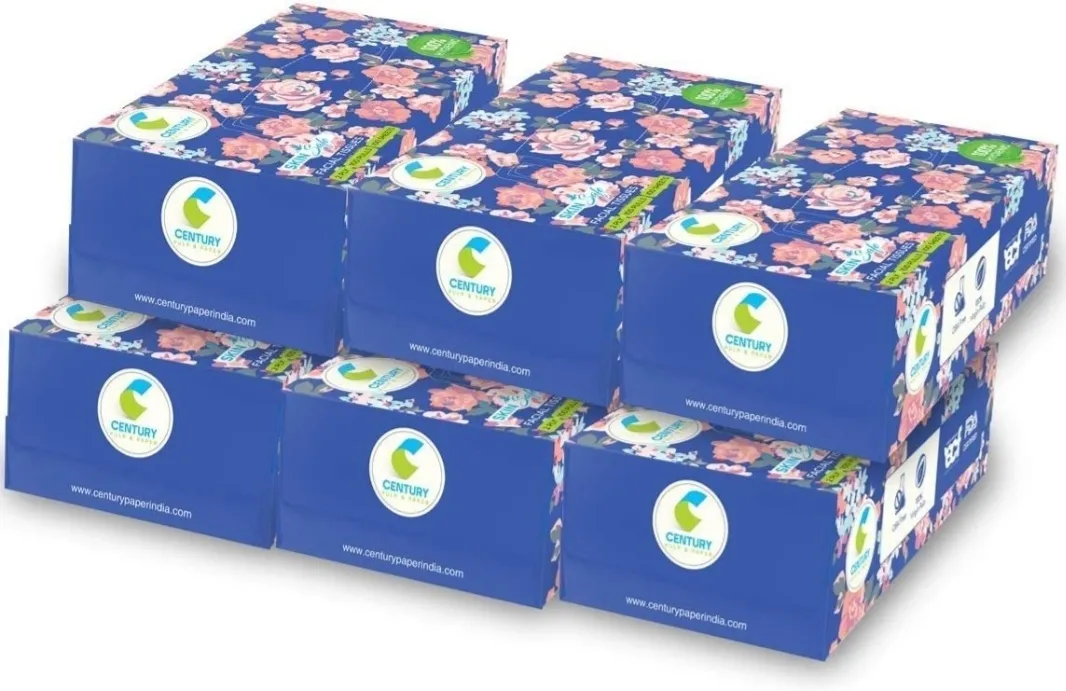 Century Facial Tissue (20X20 cm, 100 Pulls) - Pack of 6