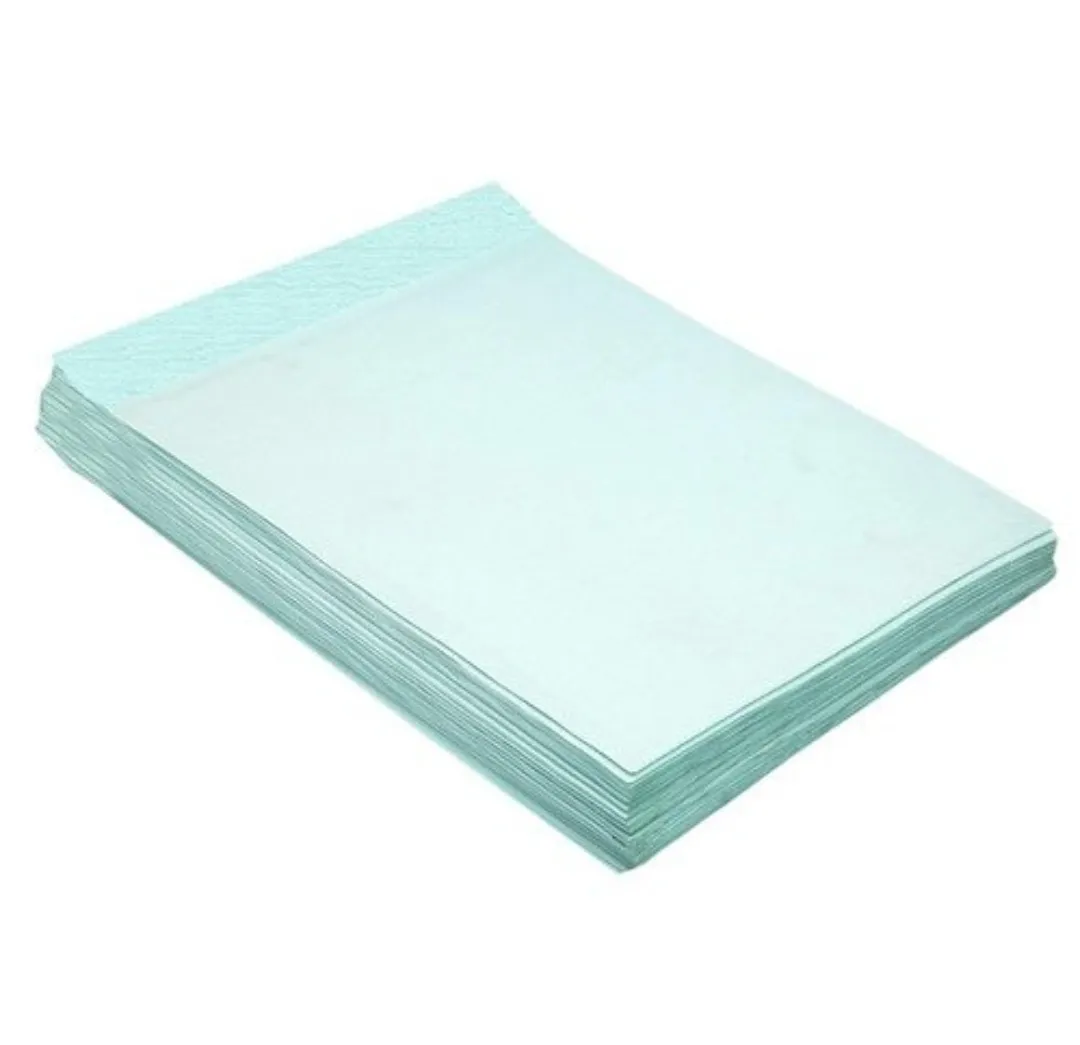 Saya Green Polynet Lined Envelopes, 12"X6" ( 30X15 cm), Pack of 10