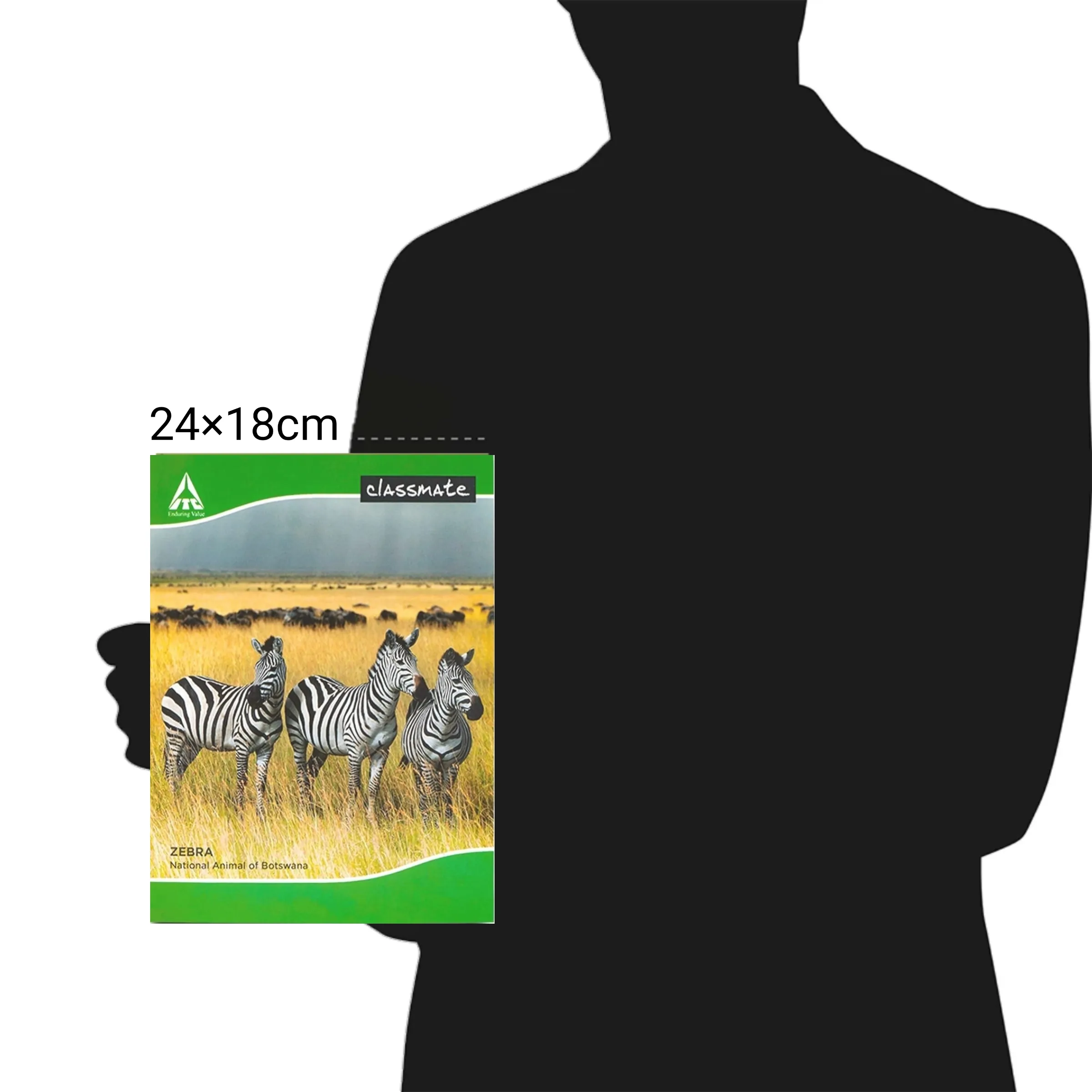 Classmate Hindi Practical Notebook Soft Cover Single Line Interleaf 172 Pages 24X18 CM Pack of 1