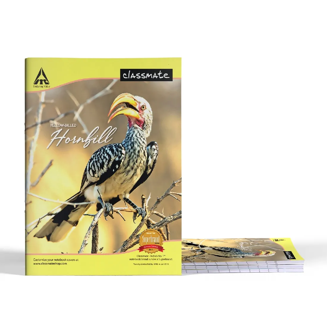 Classmate Hindi Notebook Soft Cover Single Line 172 Pages 24X18 CM Pack of 1