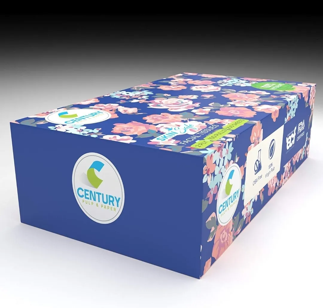 Century Facial Tissue (20X20 cm, 100 Pulls) - Pack of 1