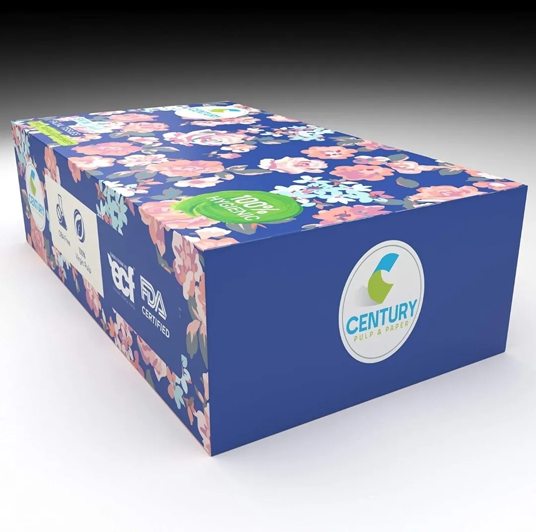 Century Facial Tissue (20X20 cm, 100 Pulls) - Pack of 1