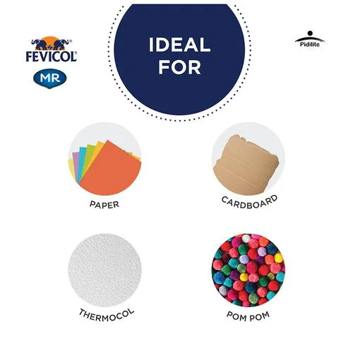 PIDILITE FEVICOL MR WHITE ADHESIVE FOR ART & CRAFT, 22.5 G PACK OF 10