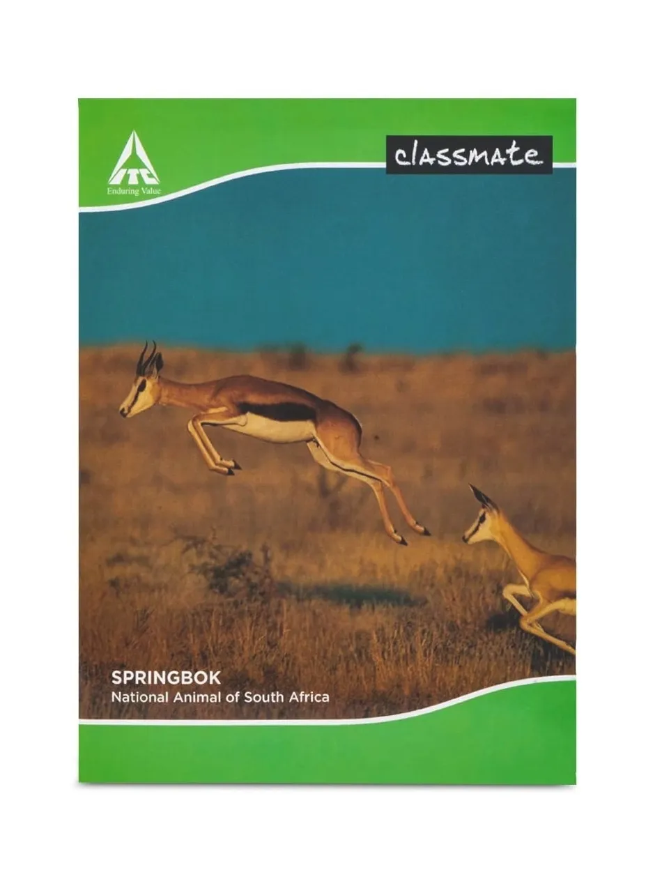 Classmate Hindi Notebook Soft Cover Single Line 120 Pages 24X18 CM Pack of 1