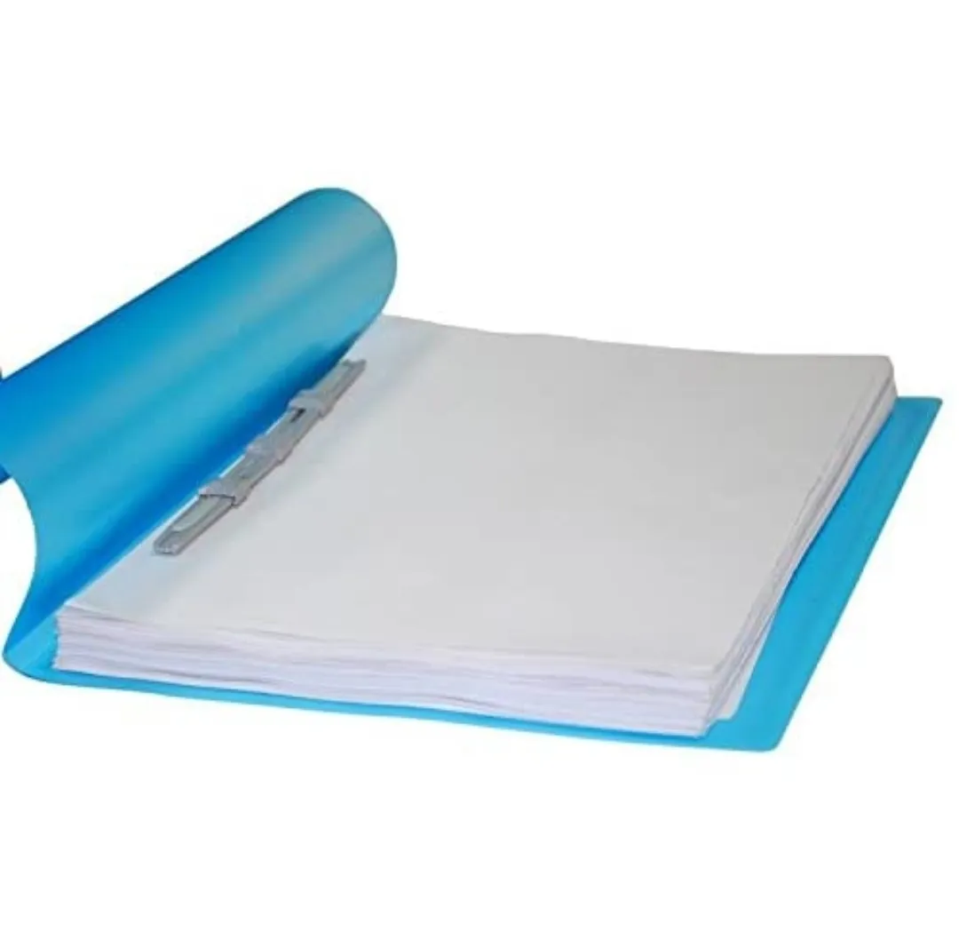 Saya Report File Standard, Office Series, Blue, SY - 101, A4 Size, Pack of 1