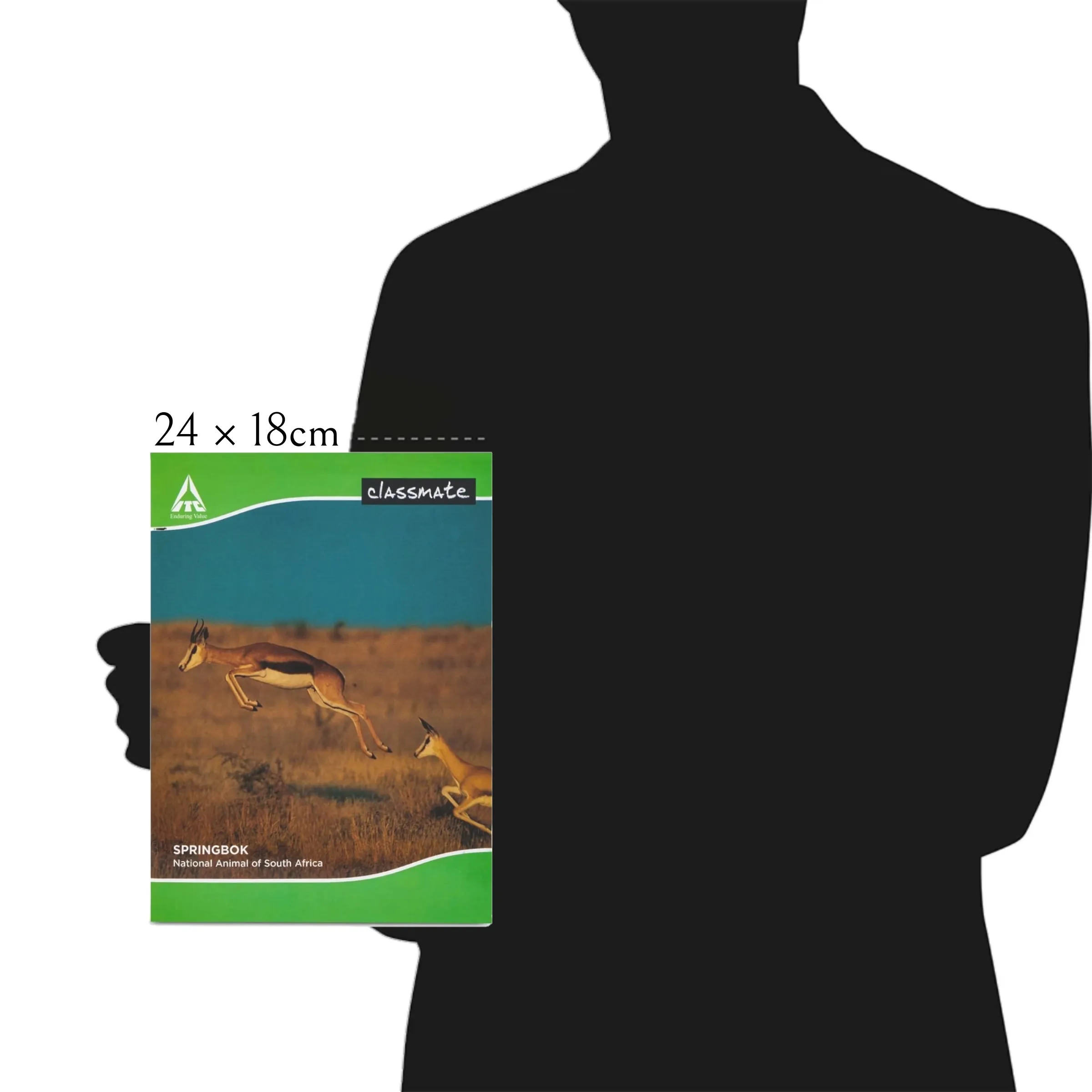 Classmate Hindi Notebook Soft Cover Single Line 120 Pages 24X18 CM Pack of 1