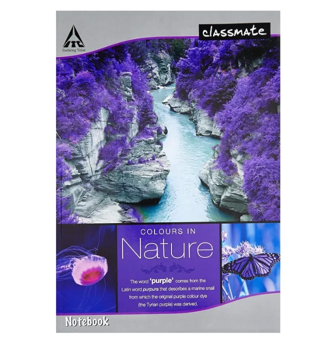 Classmate Long Notebook Single Line 400 Pages 27.2X16.7 Cm Soft Cover Pack of 1