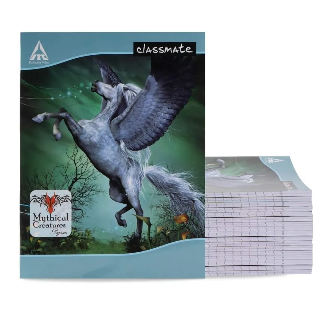 Classmate Hindi Practical Notebook Soft Cover Single Line Interleaf 120 Pages 24X18 CM Pack of 1