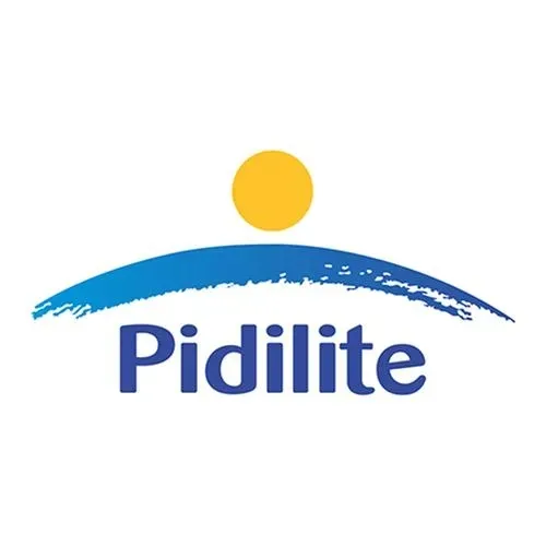 Pidilite Fevistik Glue Stick (8g) Multi-Purpose, Non Messy (Pack of 5)