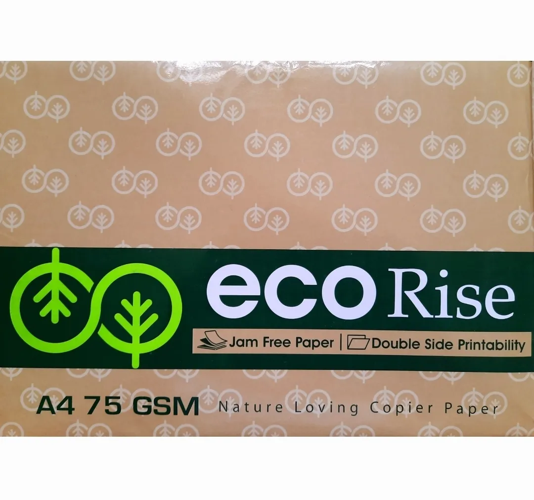 Eco Rise Printing Copy A4 Size JK Paper Eco Tree Friendly 75 GSM 500 Sheet Pack of 2