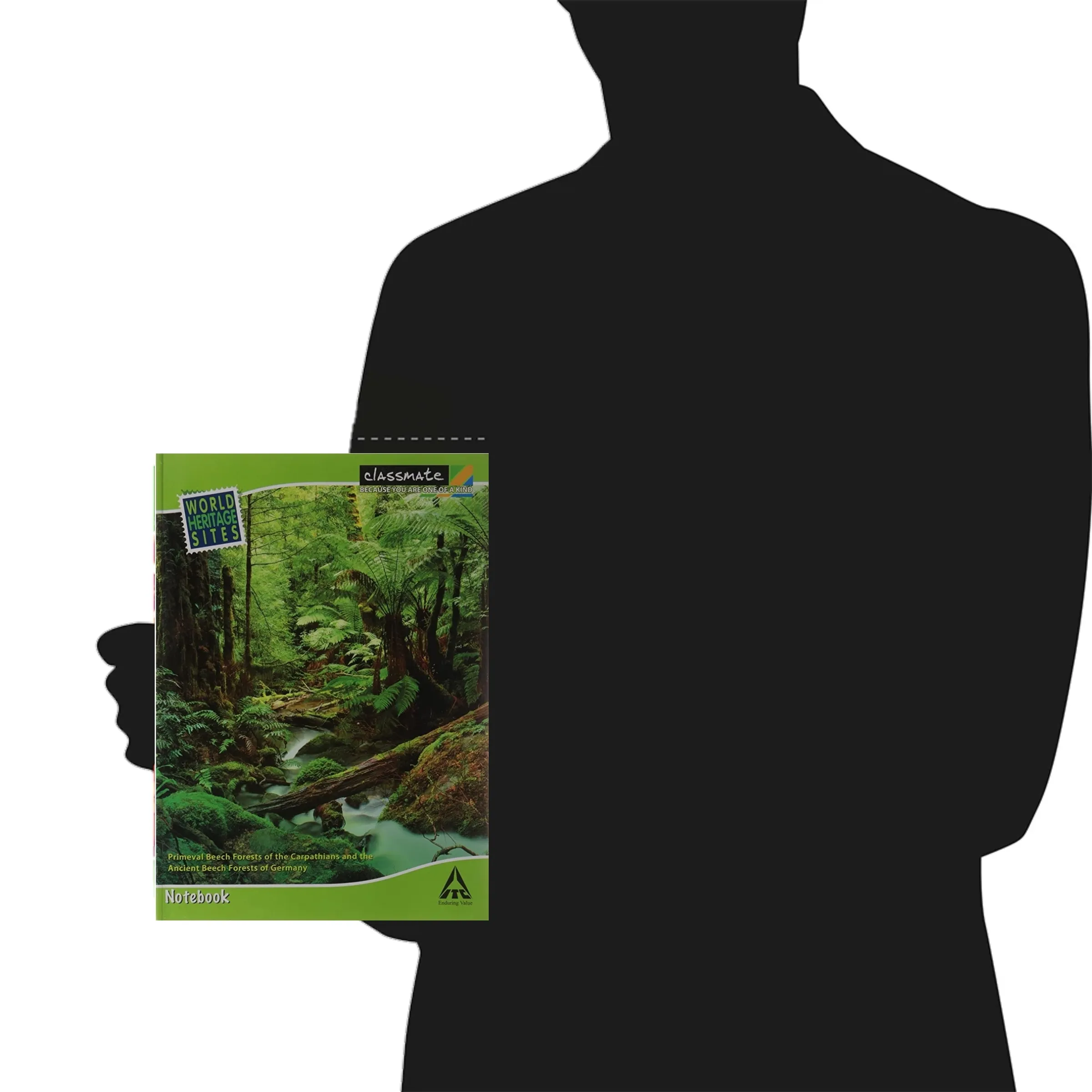 Classmate Archimedes Long Notebook A4 Size Soft Cover 240 Pages Single Line Pack of 1