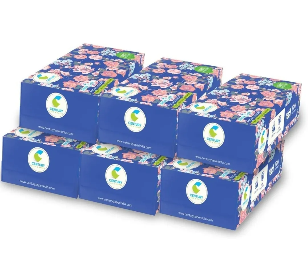 Century Facial Tissue (20X20 cm, 100 Pulls) - Pack of 6